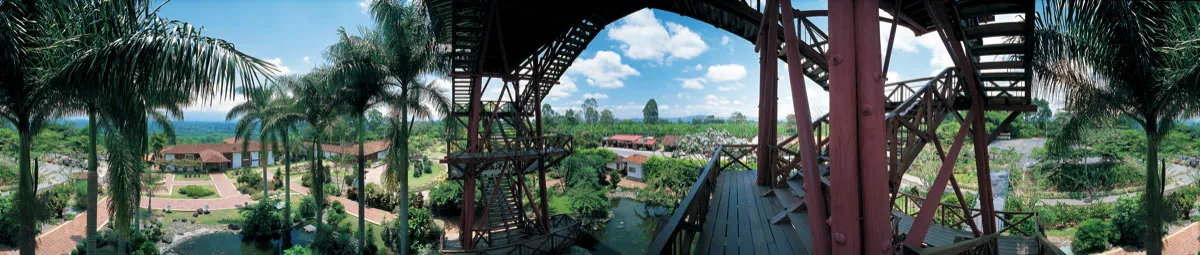 Parque Nacional del Café, visto desde la Torre Mirador. Miguel Salazar