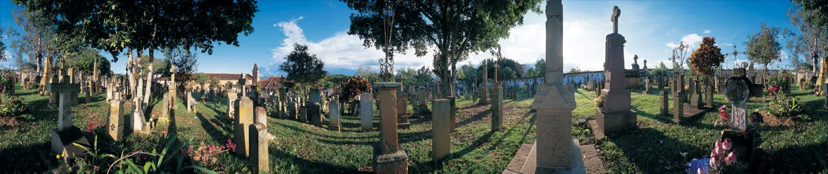 Cementerio. Miguel Salazar