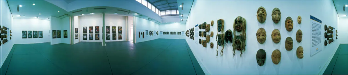 Museo de Arte del Tolima. Miguel Salazar