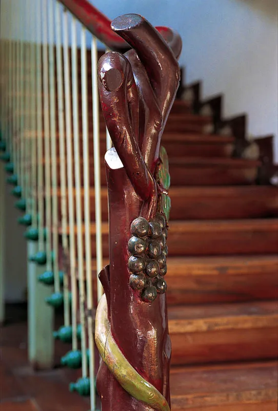 Miguel Salazar
