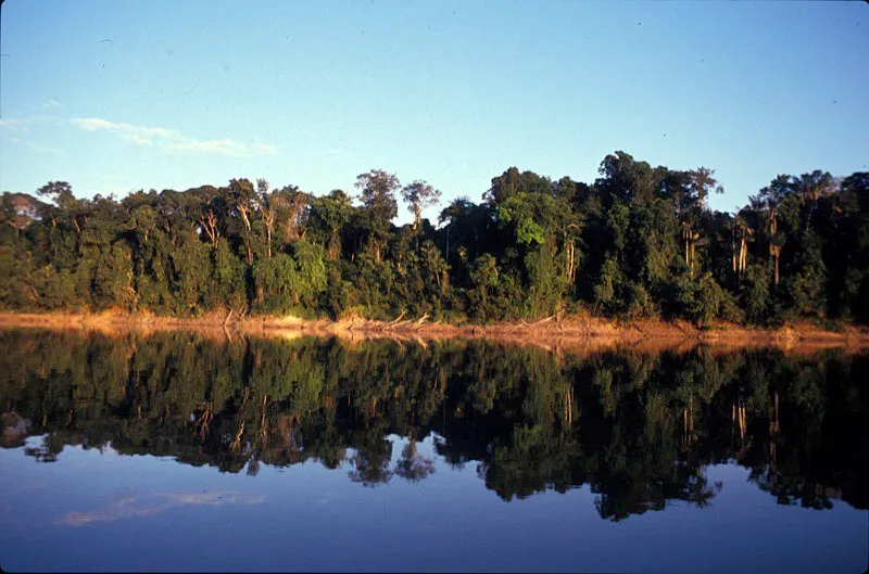 Río de aguas negras, sector norte del parque. Andrés Hurtado