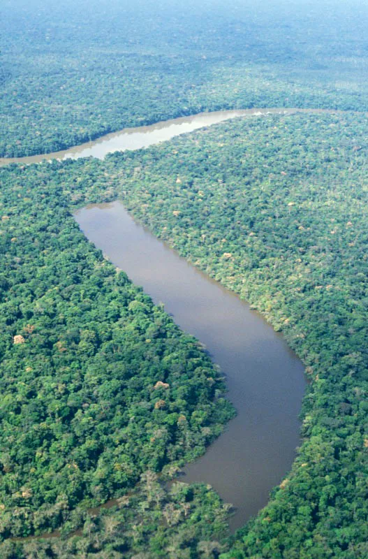 Lago-madrevieja, antiguo cauce del río Caquetá, bordeado de bosque húmedo tropical. Carlos Castaño