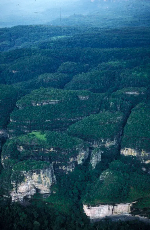 Vista aérea de los tepuyes característicos del parque. Carlos Castaño