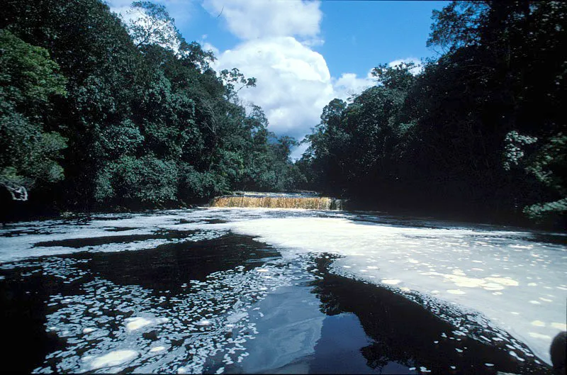 Caída de agua que ilustra su abundante presencia en el parque. Andrés Hurtado