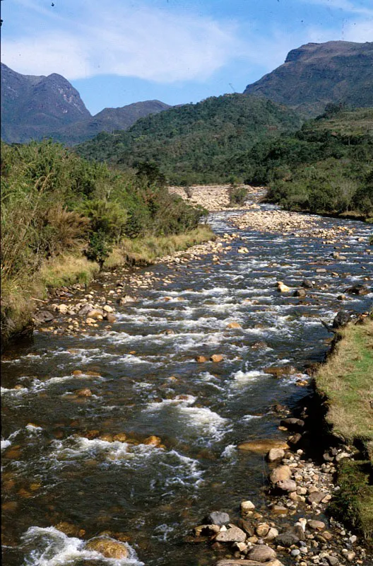 Ro Chuza, antes de llegar al embalse de Chuza, centro del acueducto de Bogot. Andrs Hurtado