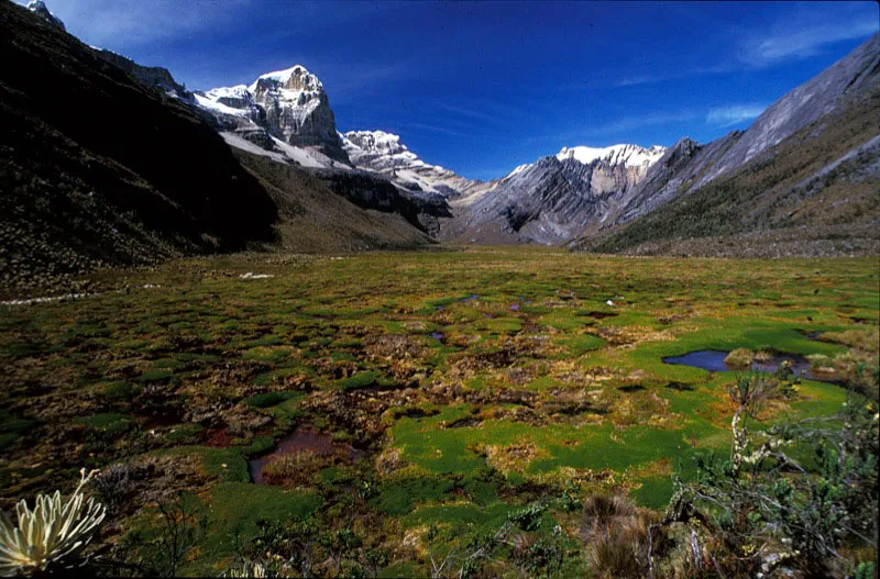 Picos Ritacuba Blanco, Ritacuba Norte, Boquerón de La Sierra y Picos Sin Nombre. Andrés Hurtado