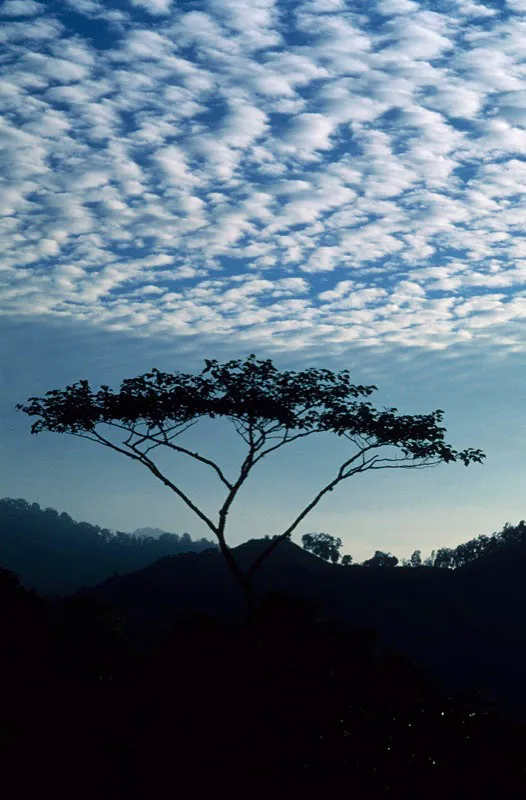 Amanecer en el Parque Nacional Natural Farallones de Cali. Aldo Brando