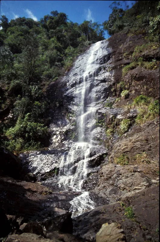 Cascada en el sector Topacio, una de las más de 70 quebradas que, junto con 10 ríos principales, aportan 215 m3 por segundo de agua, convirtiendo esta área protegida en un sinónimo de agua en el Valle del Cauca. Carlos E. Porras