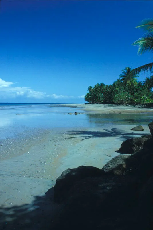 Playas del santuario. Andrs Hurtado