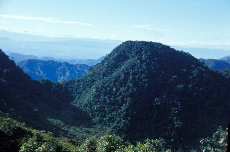 El parque protege la única muestra de selva en buen estado de conservación en esta zona del país, lo que hace que converjan dentro de su territorio varias especies provenientes de las selvas lluviosas del Magdalena Medio y otras zonas aledañas. Jorge Hurtado