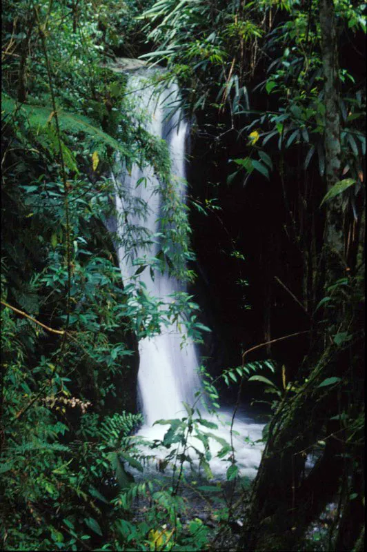 Quebrada. Jorge Hurtado