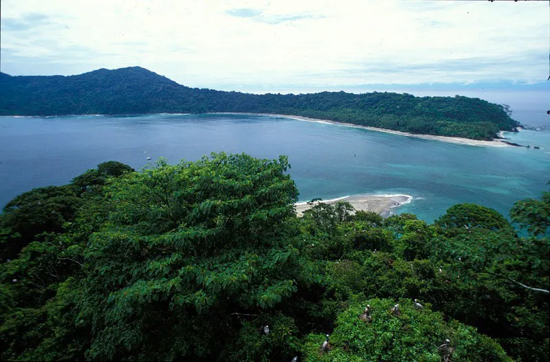 Vista desde Gorgonilla de Playa Palmeras, parte suroccidental de Gorgona. Andrés Hurtado