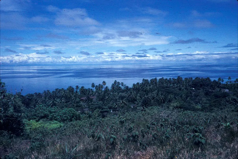 Vista de los ecosistemas del parque, ambiente terrestre en selva muy húmeda tropical y ambiente marino donde se encuentran los arrecifes coralinos. Unidad Administrativa Especial del Sistema de Parques Nacionales
