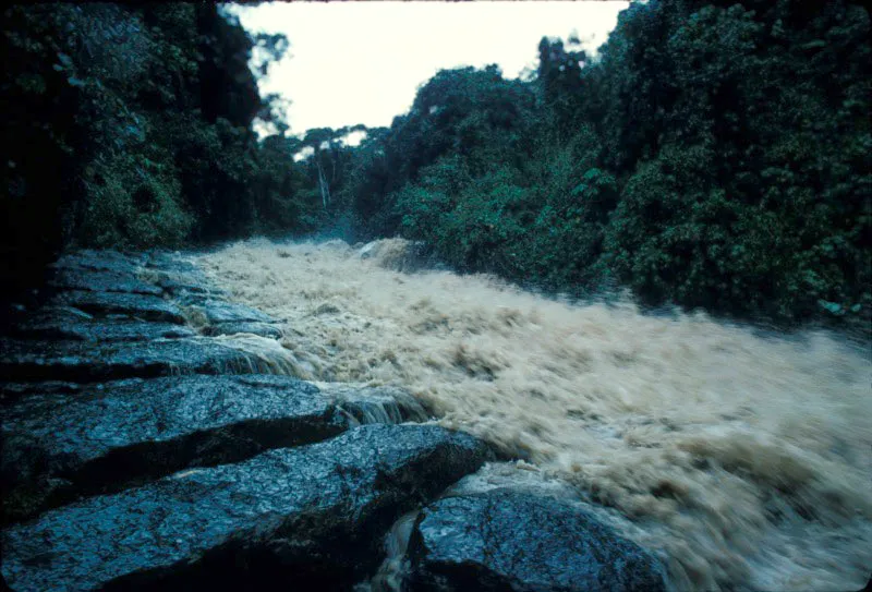 Río Suaza, eje central del sistema de cuevas existentes en el parque. Steve Coombs