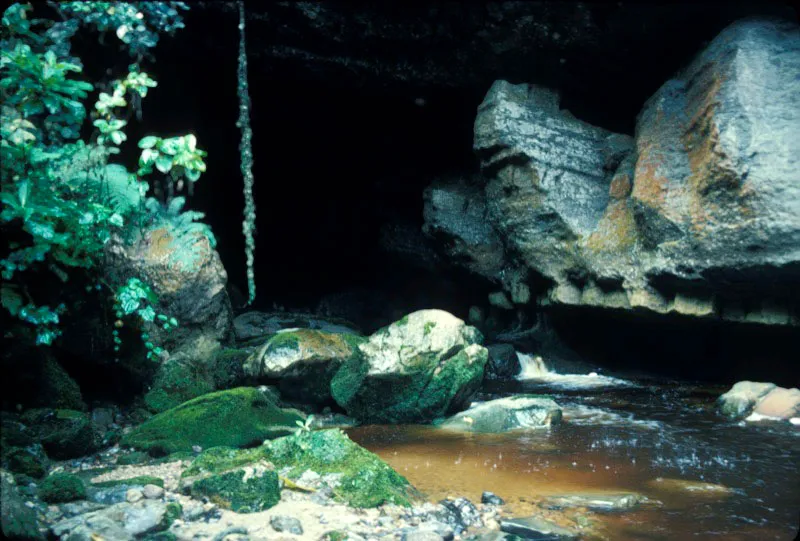 Aguas del ro Suaza en su salida de la Cueva de los Gucharos, cuyo color se debe al guano que estas aves generan en la cueva. Carlos Castao