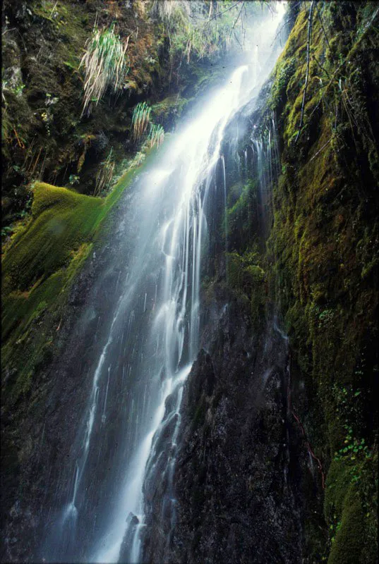 Una de las caractersticas ms sobresalientes de este parque es la abundancia de agua. 
 Diego Miguel Garcs