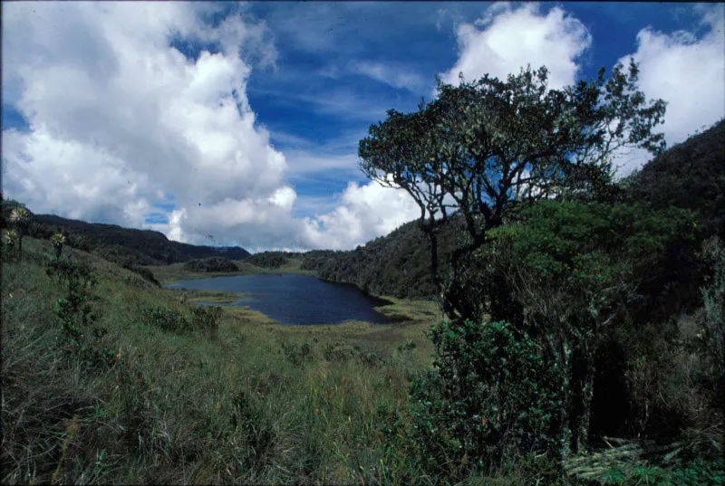 Laguna.
Diego Miguel Garcés