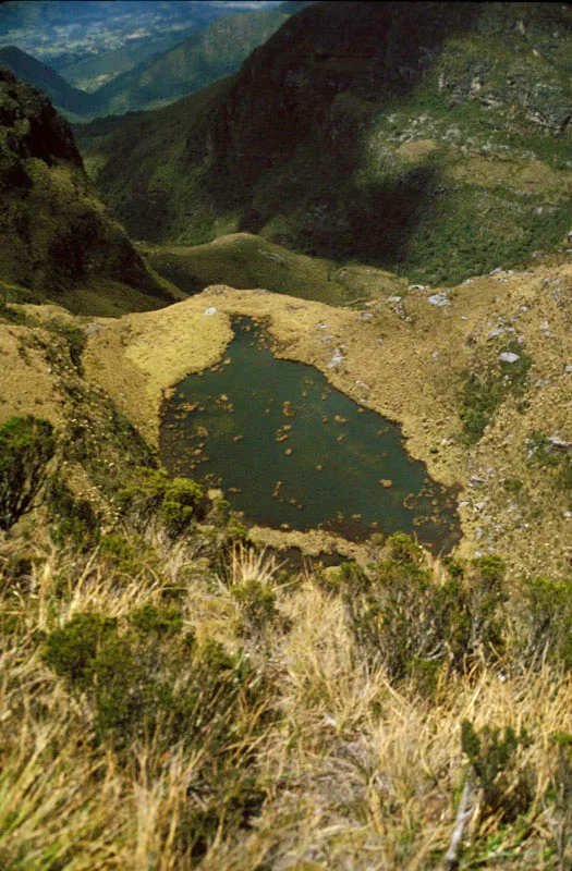 El sistema hdrico protegido dentro del Santuario de Fauna y Flora es de suma importancia para los habitantes de las poblaciones de Santa Sofa, Schica, San Pedro de Iguaque, Arcabuco y Gachantiv, ya que surte los acueductos que abastecen a ms de 35 000 personas.  Alfonso Lpez