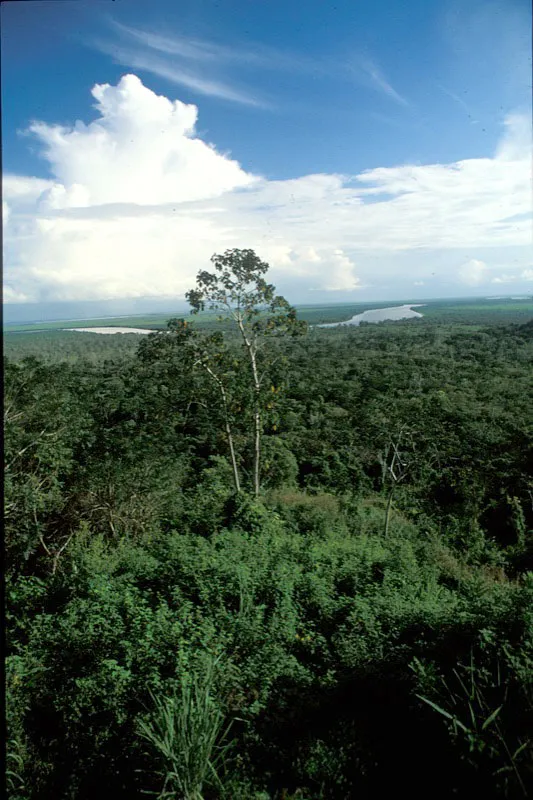 Río Atrato. Andrés Hurtado
