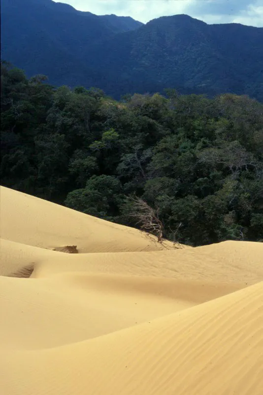 La Serrana de Macuira aparece como un oasis verde en medio del desierto guajiro.  Santiago Harker