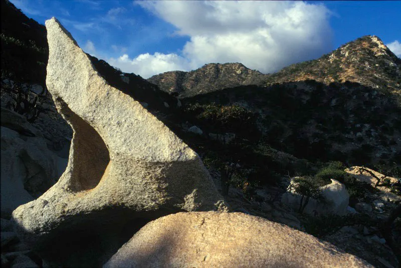 En Macuira existe un asombroso contraste de ecosistemas dentro de una distancia reducida. Cinco kilmetros al norte de una zona semidesrtica crece un bosque nublado enano hmedo con una sorprendente exuberancia vegetal que choca fuertemente con la aridez encontrada en ecosistemas inferiores. Santiago Harker