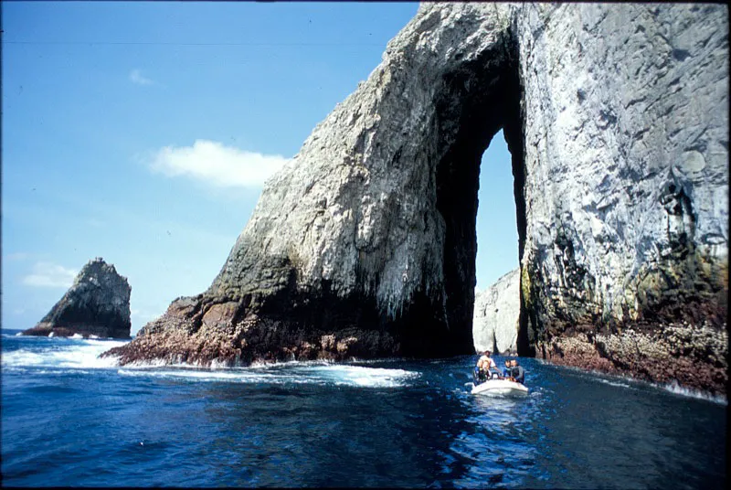 Arco del Tropic.  Yves Lefvre