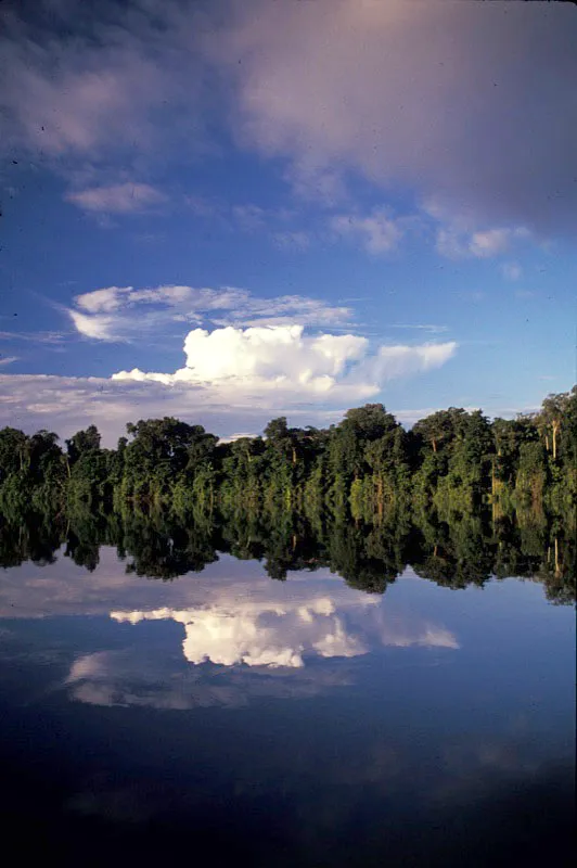 Río Inírida. Andrés Hurtado
