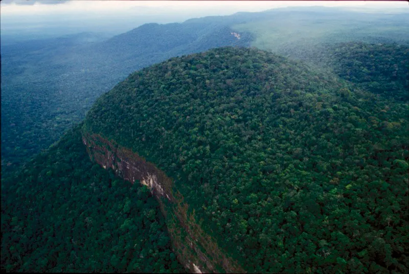 Vista aérea de los afloramientos del Escudo Guyanés cubiertos de vegetación típica del área protegida. Carlos Castaño