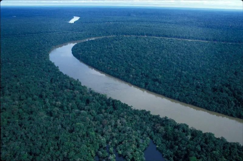 Panorámica de la vegetación característica del área protegida. Carlos Castaño