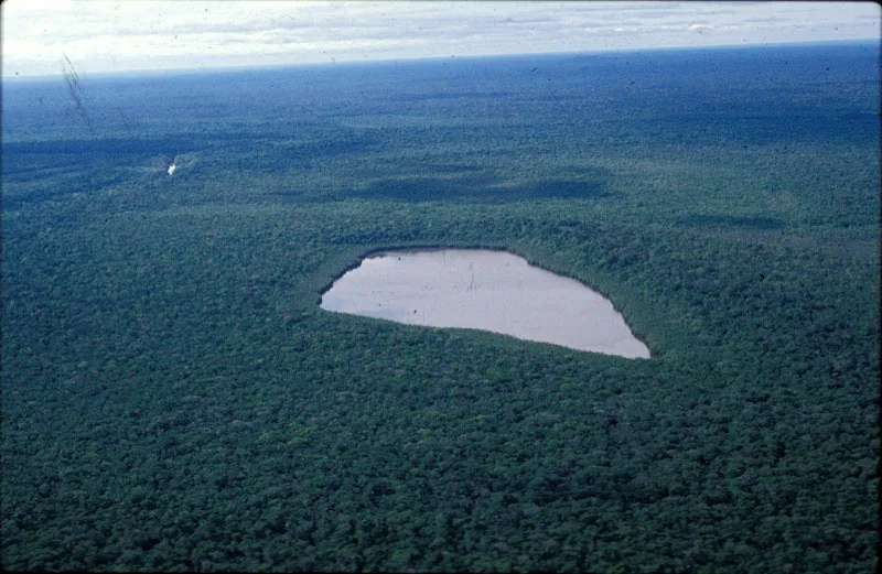 Panorámica de la vegetación característica del área protegida. Carlos Castaño