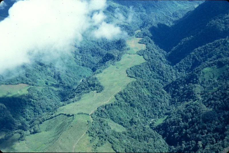 El parque encierra el nudo Paramillo o Paramillo del Sinú y partes de tres serranías, las de Abibe, San Jerónimo y Ayapel, al extremo norte de la cordillera Occidental. Carlos Castaño