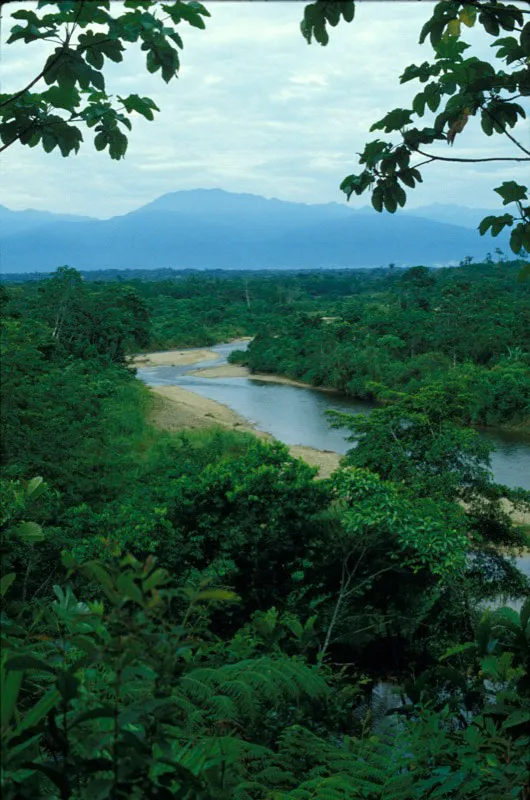 La Paya contiene un sistema hidrogrfico complejo que enriquece el territorio y permite mayor diversidad de ecosistemas.  Carlos Castao