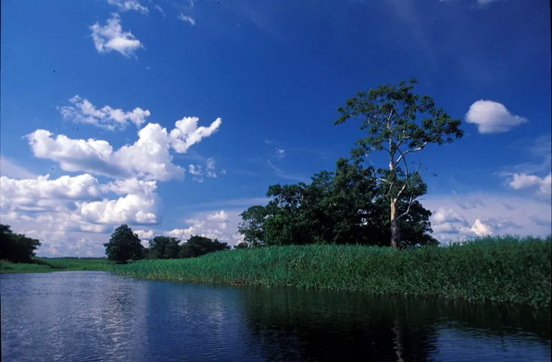 Las lagunas del parque juegan un papel importante en la vida de la flora y fauna del santuario. Formadas por meandros que permanecen aislados durante las pocas secas del ao, muchas se cubren por lagunas de inundacin durante las pocas lluviosas.  Andrs Hurtado