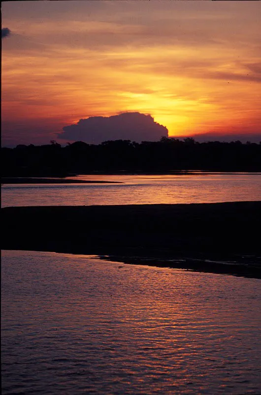 Atardecer en el Parque Nacional Natural La Paya. Andrs Hurtado