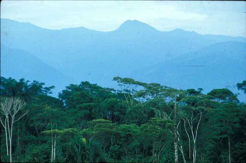  Vista de la cordillera Oriental donde se observan las formas de relieve que le dan el nombre al parque. 