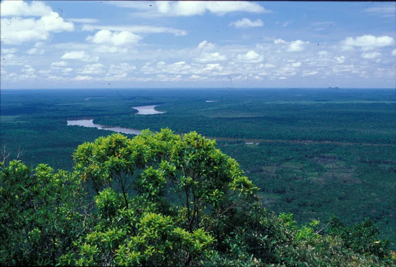 Paisaje del parque.
Óscar Manuel Gómez