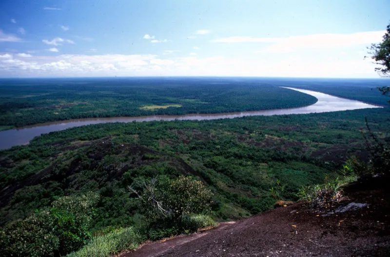 Paisaje donde se aprecia la planicie del terreno de la reserva. Andrés Hurtado