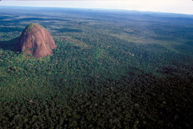 Cerro Mavicure, ubicado en el área aledaña a la reserva Puinawai y sitio sagrado de los indígenas puinave y curripaco. Carlos Castaño