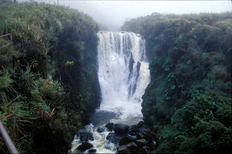 Cascada del río Bedón en el páramo de San Rafael. Carlos E. Porras