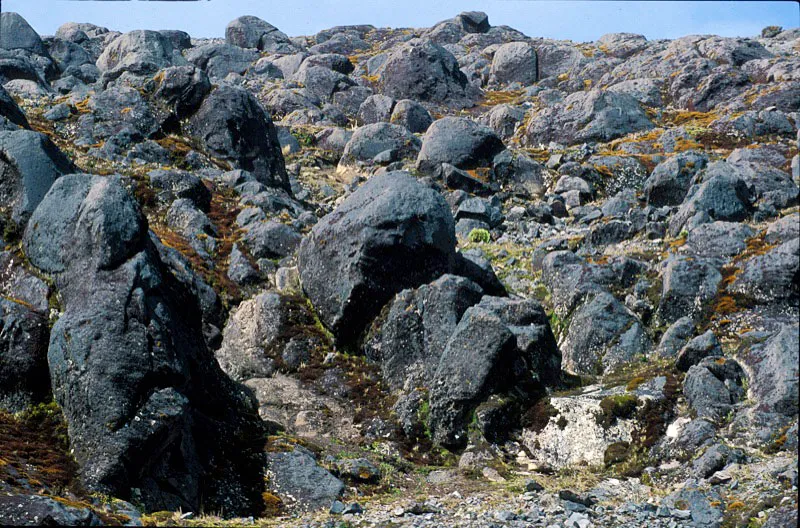 Roca volcánica característica de las cercanías de la cumbre del volcán Puracé.
Camilo Gómez Durán