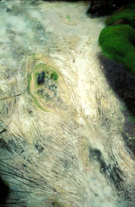 Vista aérea de aguas termales.
Camilo Gómez Durán