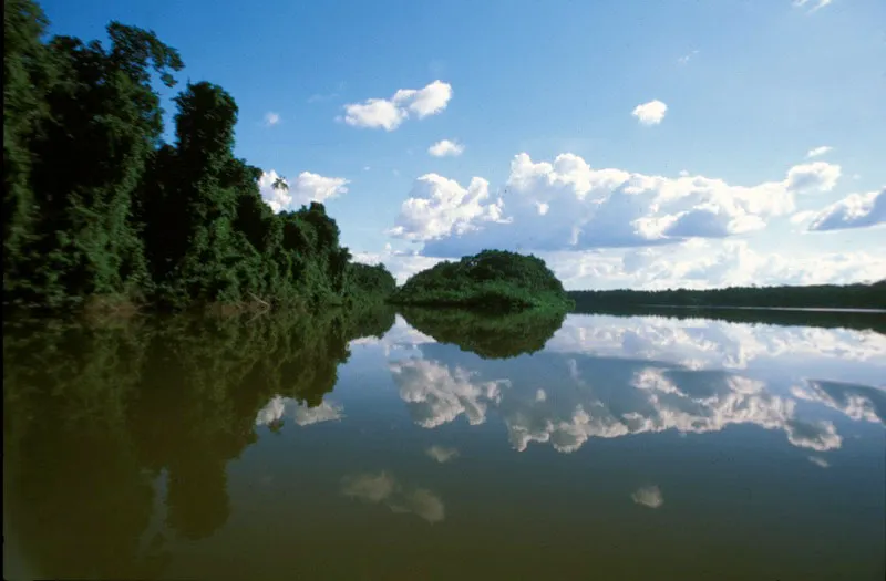 Las lagunas y humedales que forman los meandros del río Puré ayudan a regular y mantener los ecosistemas presentes en el parque.