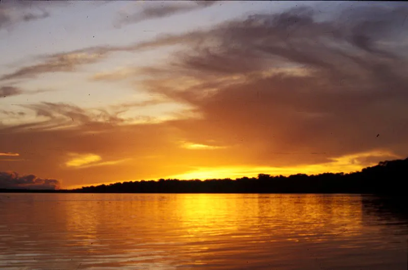 Atardecer en el parque. Patrick del Castillo