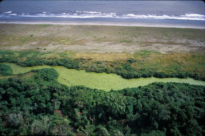 Playas, lagunas costeras y bosques de manglar, ecosistemas protegidos en el parque. Carlos Castao