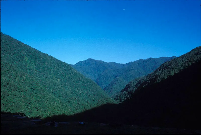 La Sierra Nevada de Santa Marta se desprendi de la cordillera Central durante la era Terciaria a causa de los movimientos de la corteza terrestre. La topografa escarpada produce un caleidoscopio de ecosistemas que va desde las selvas tropicales hasta el piso nival.  Carlos Castao