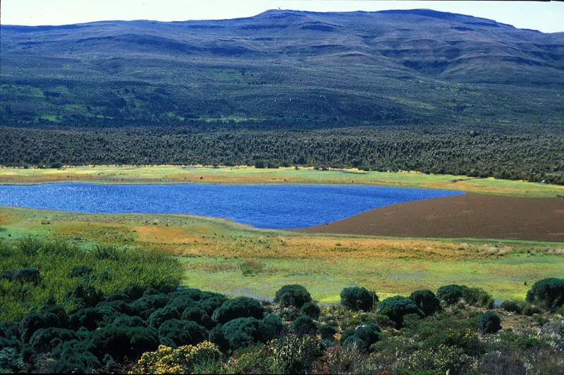 Laguna de páramo en las estribaciones de las cuchillas de Bocagrande. Andrés Hurtado