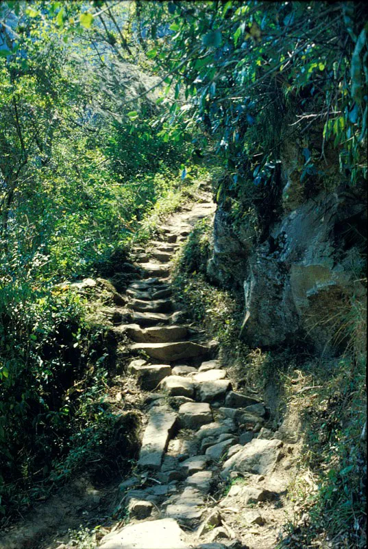 Camino de piedra.  Unidad Administrativa Especial del Sistema de Parques Nacionales