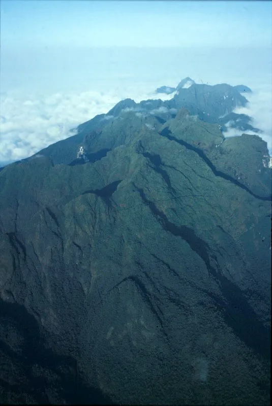 Macizo de Tatamá. Carlos Castaño