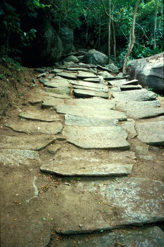 Escalinatas prehispnicas construidas por los tairona, acceso al sector denominado Pueblito o Chairama. Carlos Castao