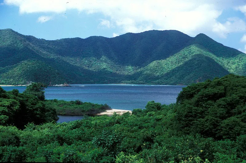 Ensenada de Chengue, bosque seco tropical en buen estado de conservacin. 
 Andrs Hurtado